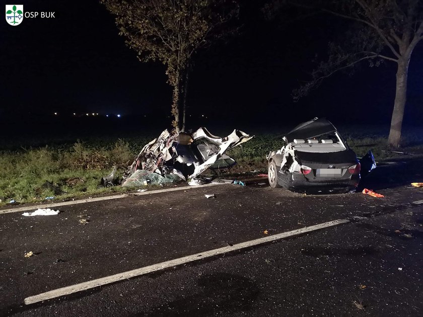 Niepruszewo: śmiertelny wypadek. Kierowca w jechał w drzewo