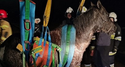 Był wyczerpany i nie mógł stanąć na nogi. Ratowali go w środku nocy