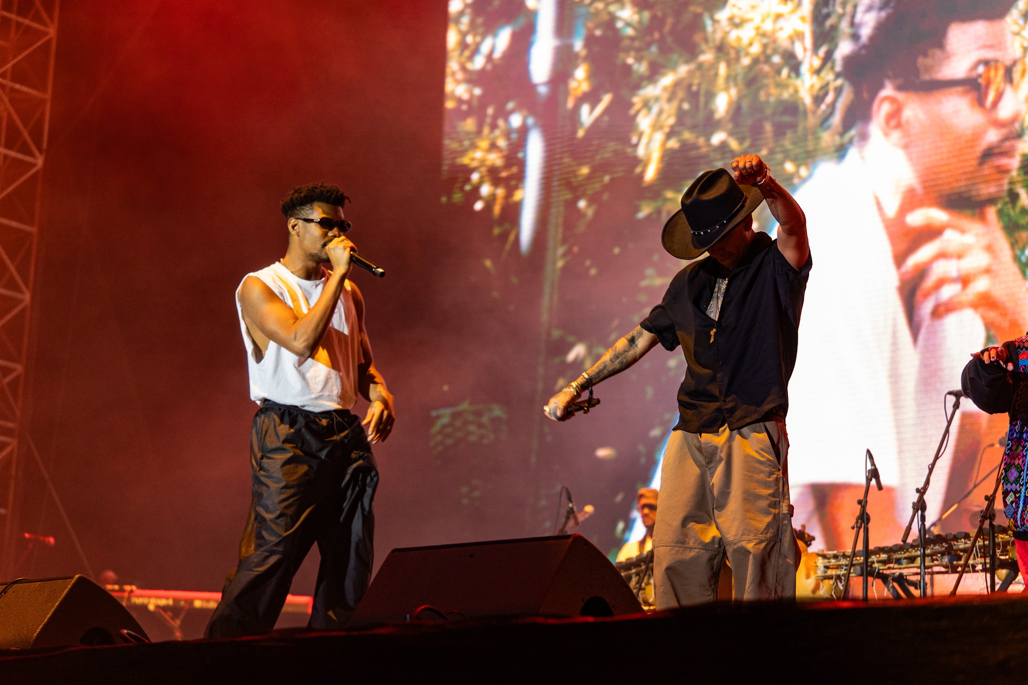 Festival pohoda 2025: Africa Express.