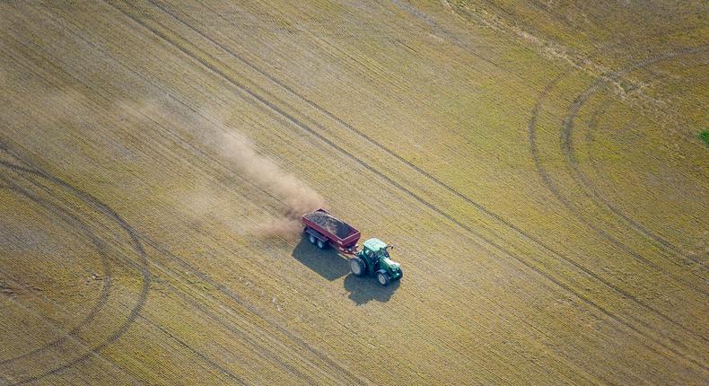 Farmer spreading chicken manure as fertilizer on a crop field on the eastern shore of Maryland, USA.