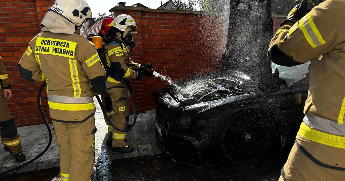 Najnowsze dane potwierdzają - takie auta płoną 6 razy częściej