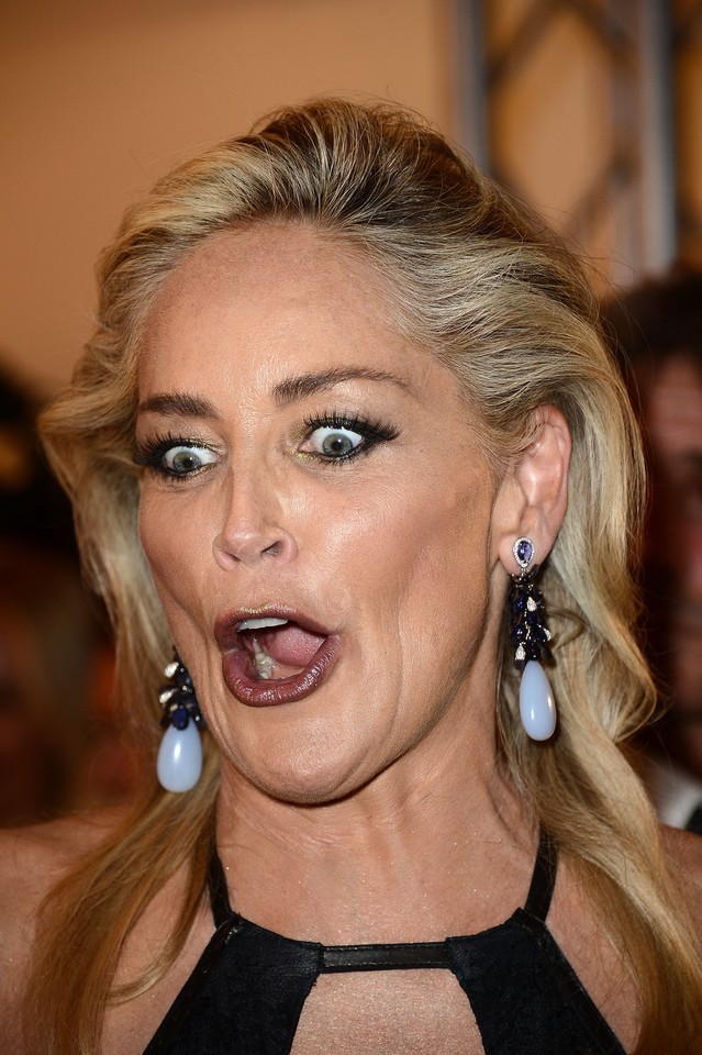 Sharon Stone / fot. Getty Images