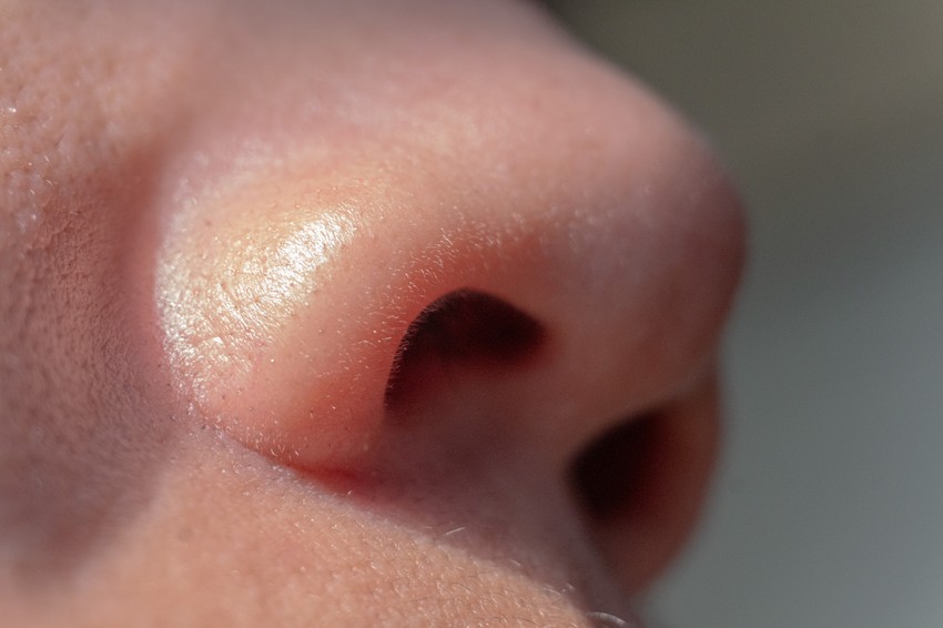 Postoje dokazi da je leva nozdrva češće dominantna, naročito kod desnorukih osoba