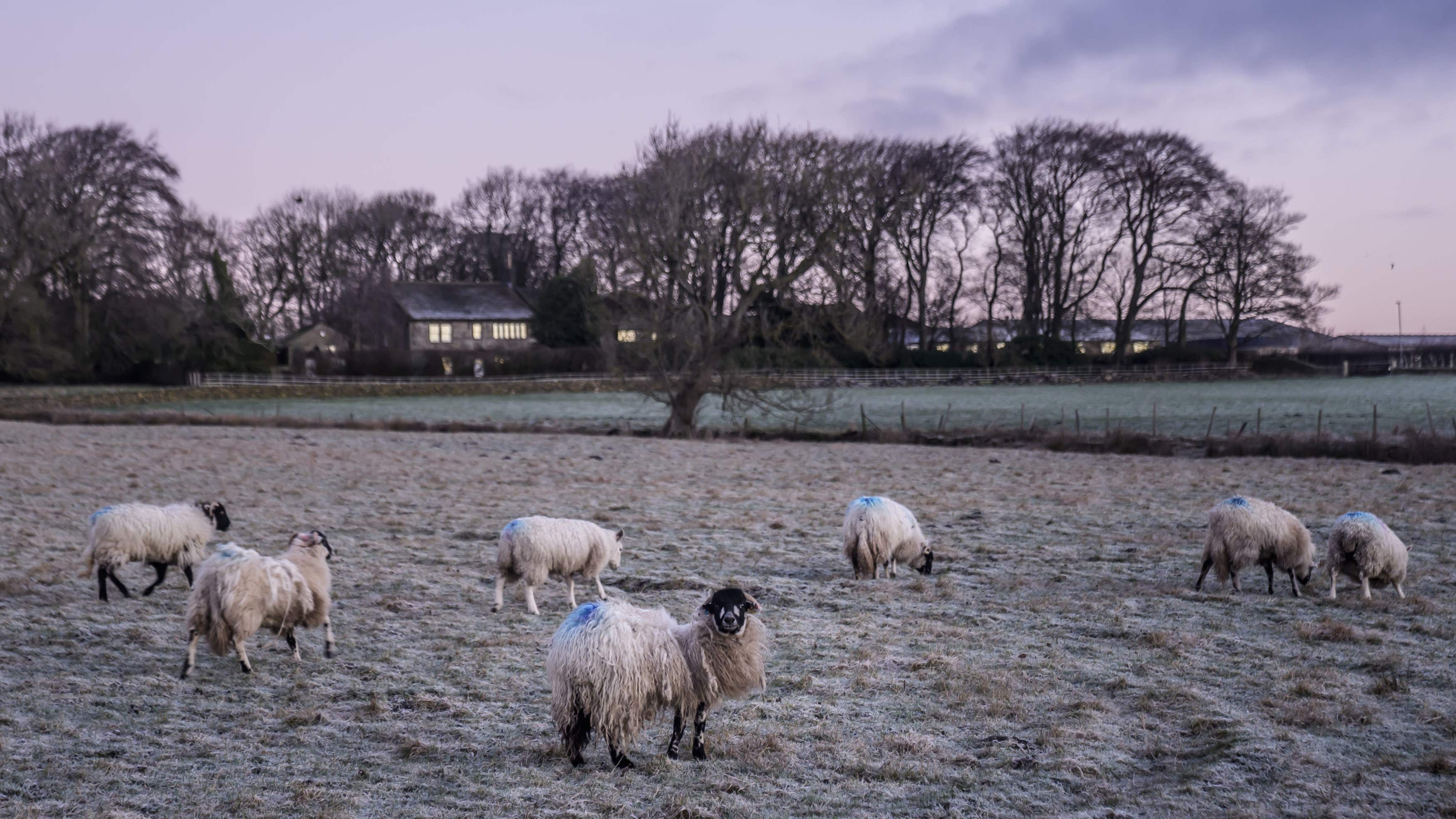 UK upgrades to amber: Arctic cold brings snow chaos and death warning