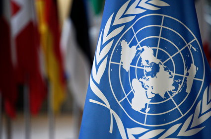Karta Narodów Zjednoczonych. Co stanowi o jej wyjątkowości?