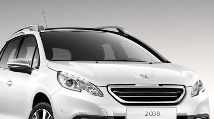 Macskamánia - Peugeot 2008