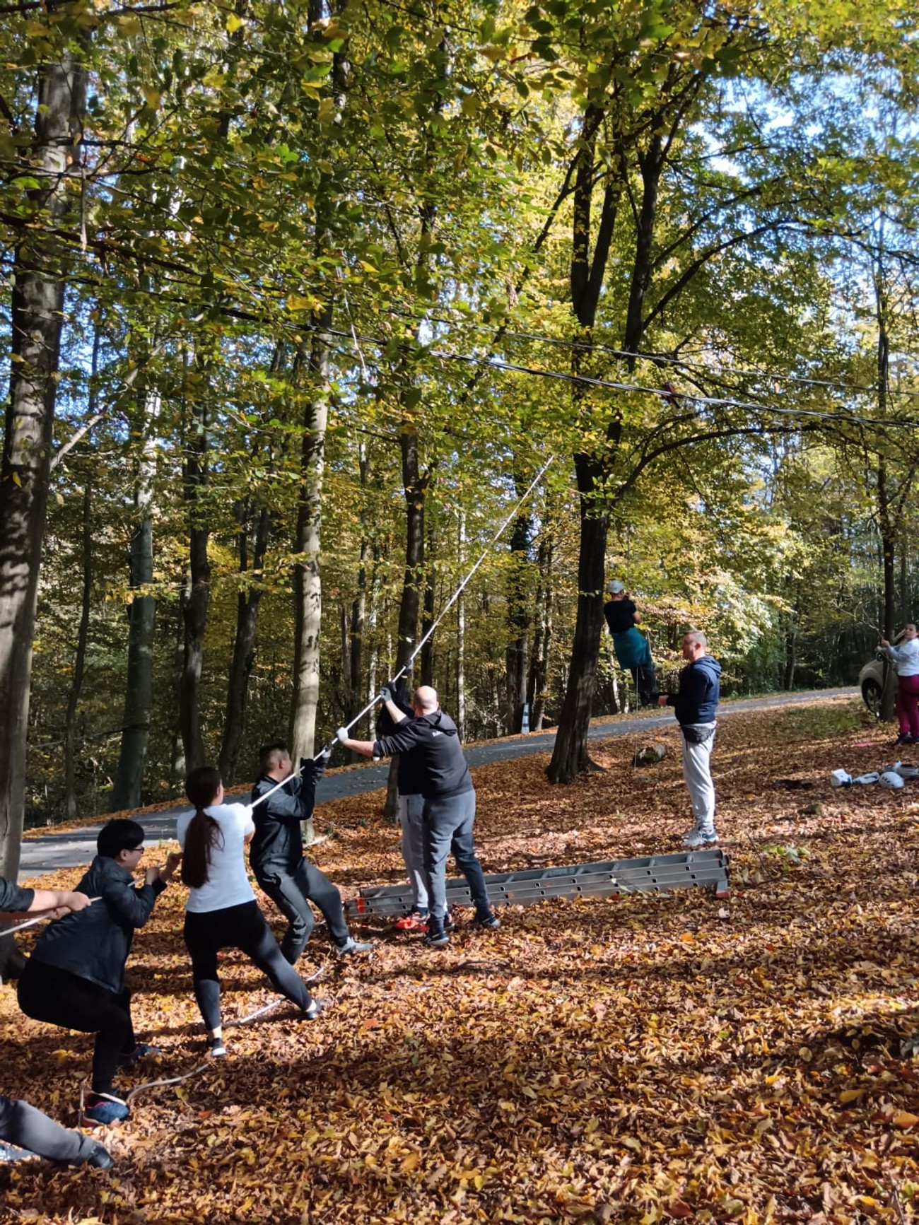 Tim bilding doprinosi ujedinjenju zaposlenih i rastu kompanije: Ovo su ...