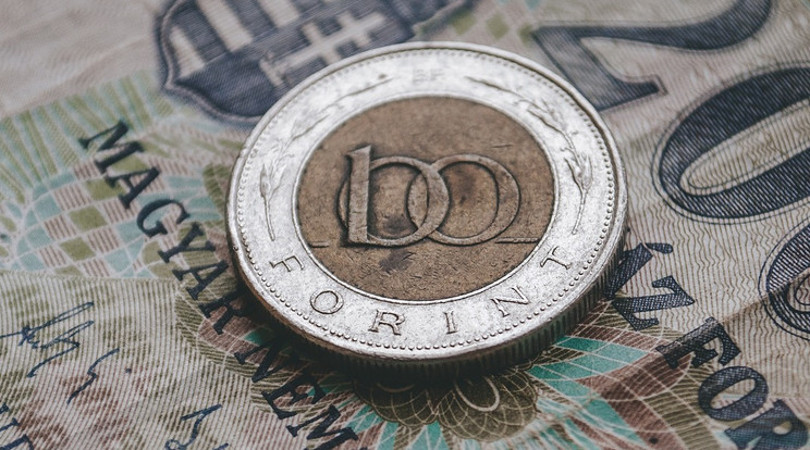 Új százforintos érmét hoz forgalomba a Magyar Nemzeti Bank / Illusztráció: Pixabay