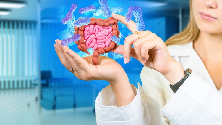 probiotikum bélflóra, agy, immunrendszer, mikrobiom