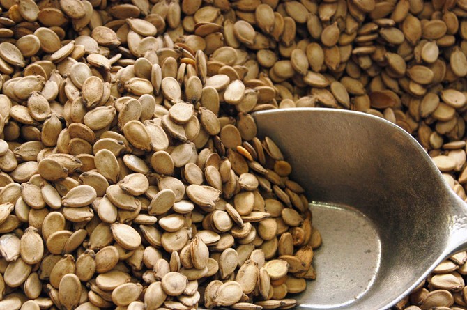 Bele semenke su odličan nutritijent