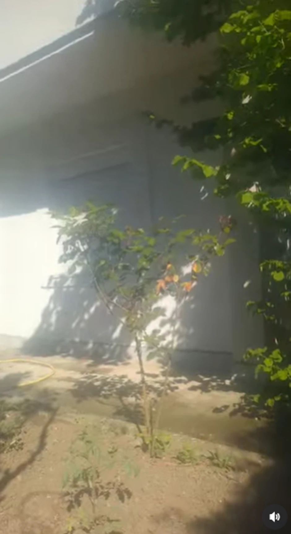 Zorica Marković pokazala imanje