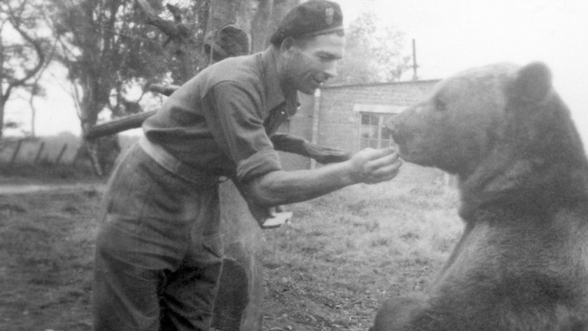 Słynny miś Wojtek, który towarzyszył polskim żołnierzom pod Monte Cassino, będzie miał własny pomnik w stolicy Szkocji - Edynburgu. Komitet organizacyjny rozpoczął poszukiwania stosownego miejsca dla monumentu.