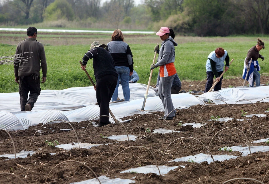 Očekuju profit od 10.000 evra