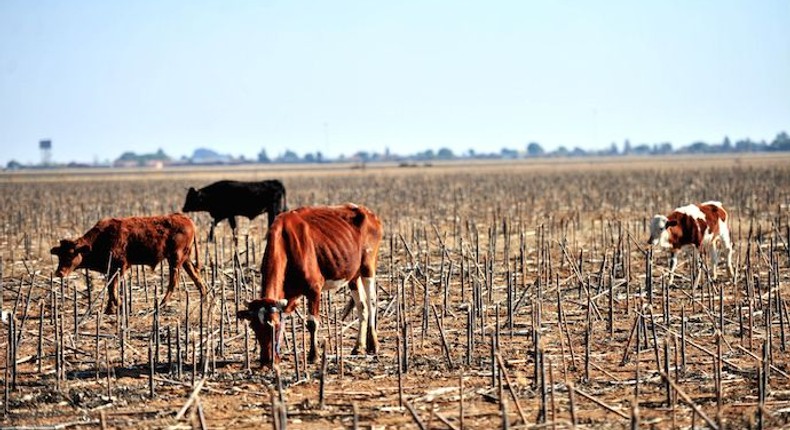 10 African countries with the highest hunger index 