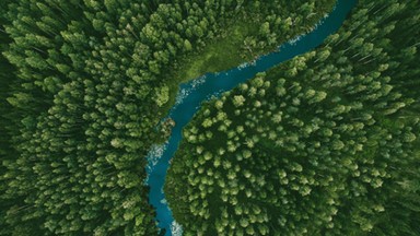 Działalność człowieka przyspiesza degradację rzek. Ekosystemy wodne na całym świecie są zagrożone