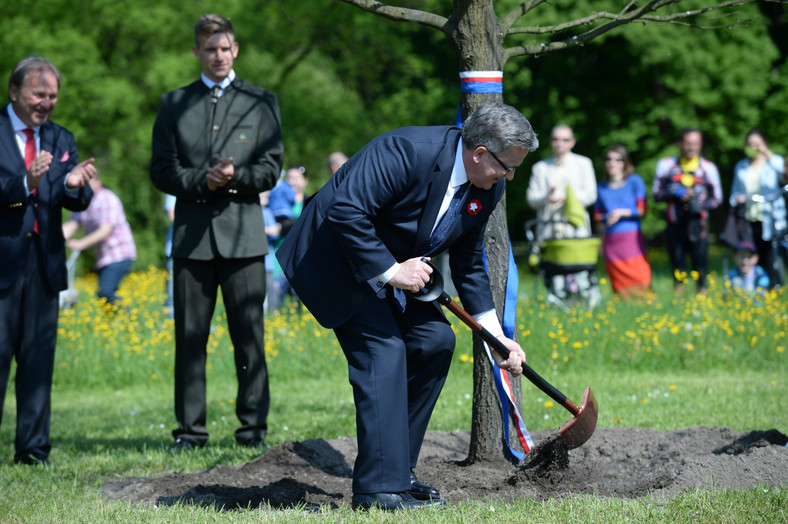 Prezydent sadzi dąb. Fot. PAP/Jacek Turczyk