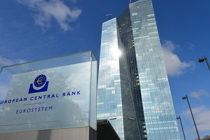 NBP może pożyczyć 10 mld euro od Europejskiego Banku Centralnego