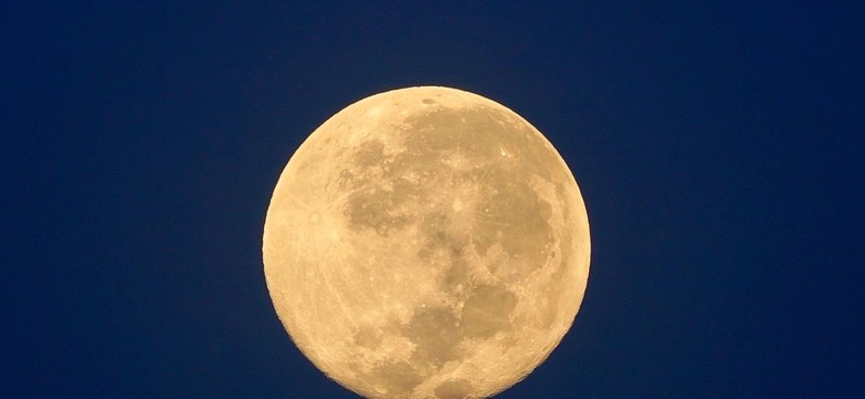 Przed nami rekordowa pełnia księżyca w tym roku! "Bobrzy księżyc" w listopadzie 2025. Kiedy dokładnie patrzeć w niebo?