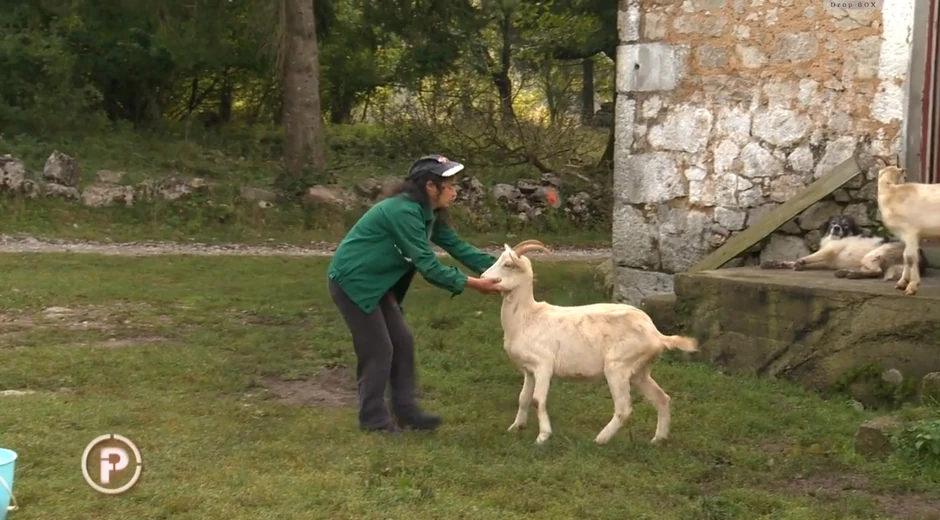 O životinjama, čini se, brine više nego o sebi