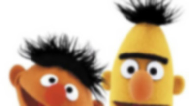 Bert i Ernie z "Ulicy Sezamkowej" nie wezmą ślubu