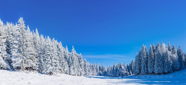 "Jest taki dzień...".Trudny QUIZ o zimowych przebojach z PRL. Dokończ fragment piosenki. 10/10 to cud!