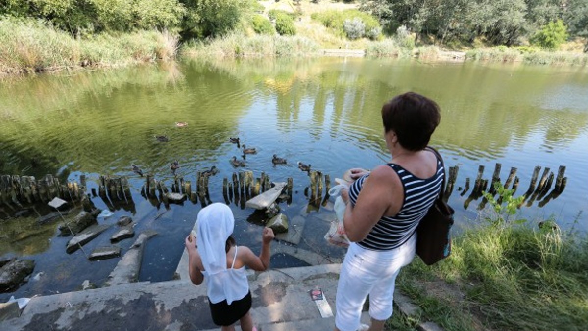 Za ponad cztery miliony złotych zmieniony zostanie wizerunek Stawu Brodowskiego. To szczecinianie wybrali remont tego miejsca w ramach budżetu obywatelskiego.