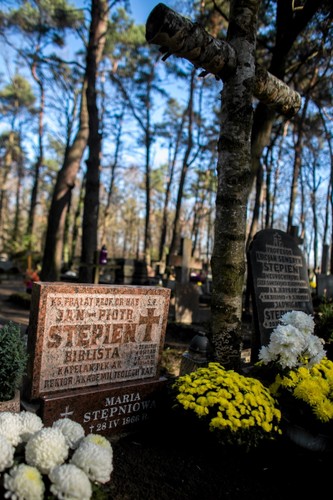 Cmentarz leśny w Laskach