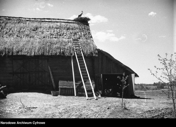 Wigry i okolice, rok 1935 - zdjęcie pochodzi z archiwów Narodowego Archiwum Cyfrowego