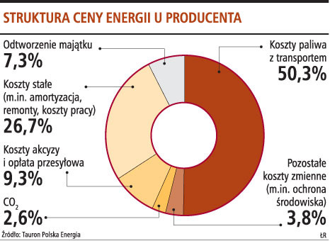 Struktura ceny energii u producenta