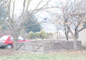 88430_1016-jagodina-borbe-pasa