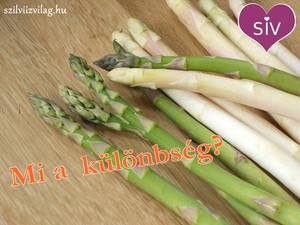 Zöld spárga vagy fehér spárga? 5 alapvető különbség