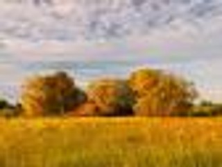 Jakie obowiązki ma gmina będąca współwłaścicielem nieruchomości