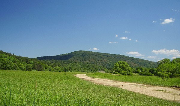 Beskid Niski 2011 Survival Expedition