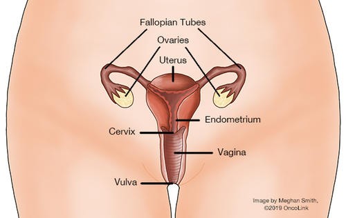 Cervical cancer