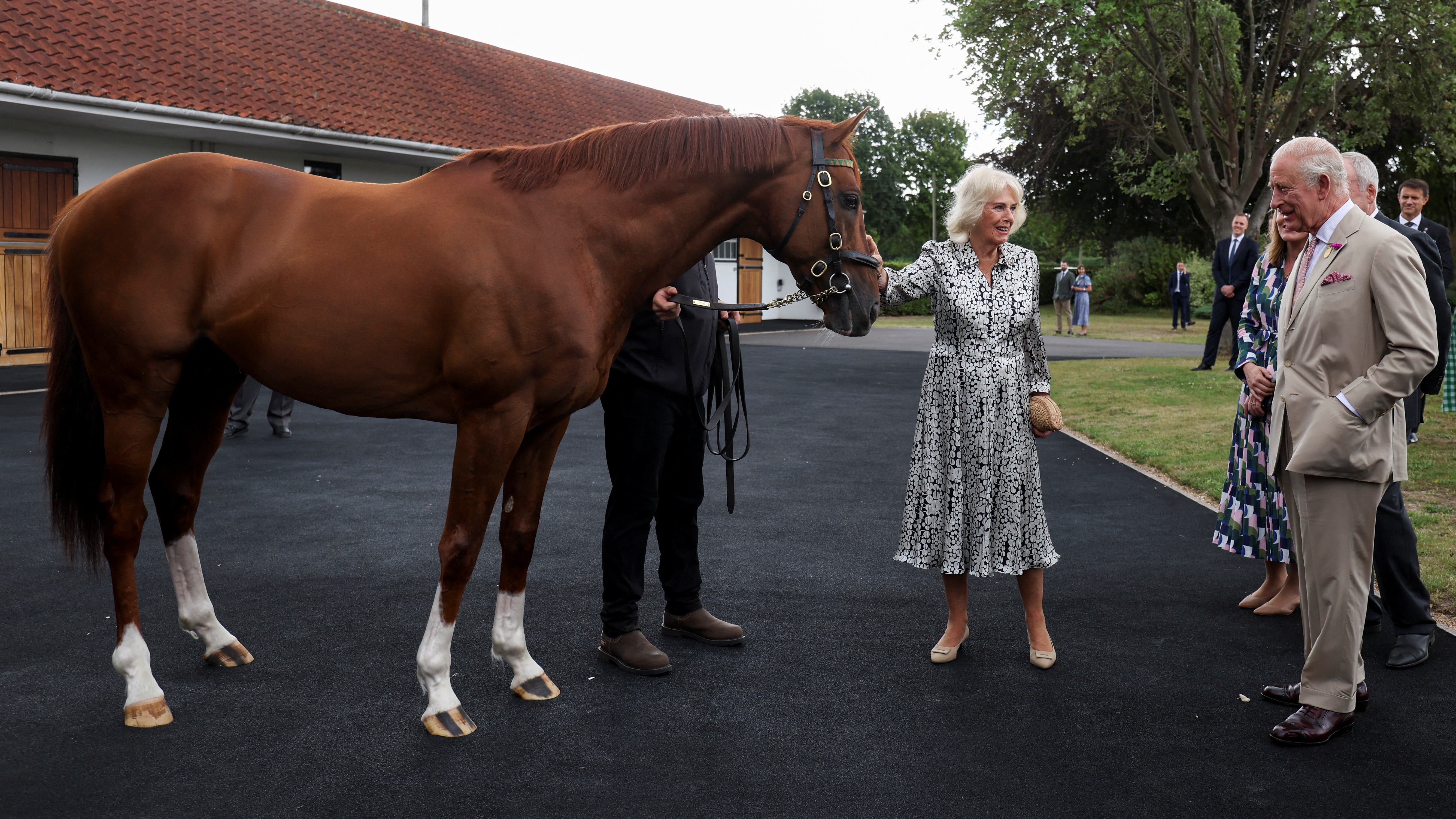 King and Queen feed polo mints to champion Stradivarius