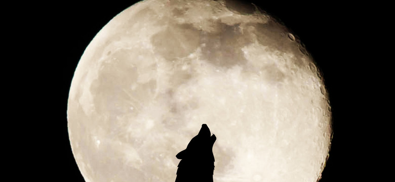 Pełnia Księżyca w styczniu 2024. Kiedy na niebie pojawi się Wilczy Księżyc?