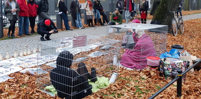 Protest przed ambasadą Niemiec. Polacy zamknęli się w klatkach, zapalili znicze i pomazali ciała