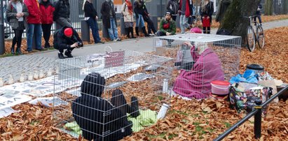 Protest przed ambasadą Niemiec. Polacy zamknęli się w klatkach, zapalili znicze i pomazali ciała