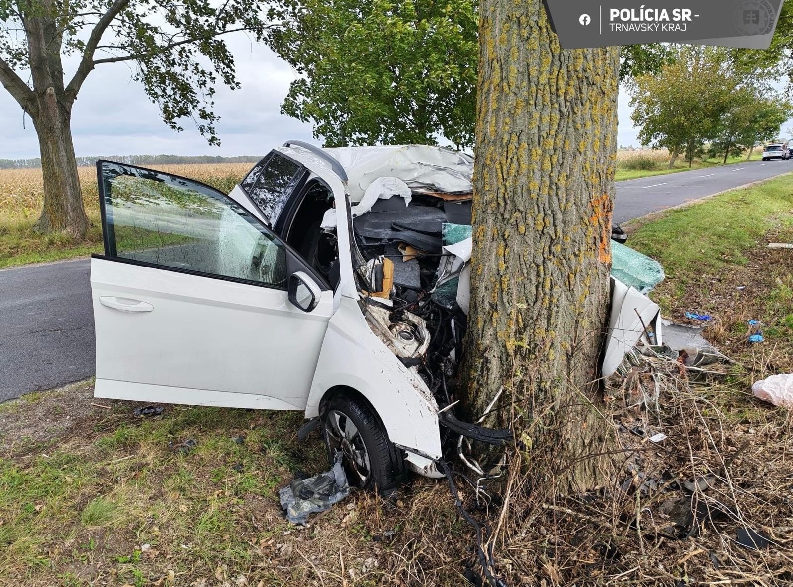Polícia vyšetruje tragickú dopravnú nehodu v okrese Dunajská Streda.