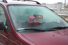 Usuń wilgoć z auta - Poznaj skuteczne sposoby