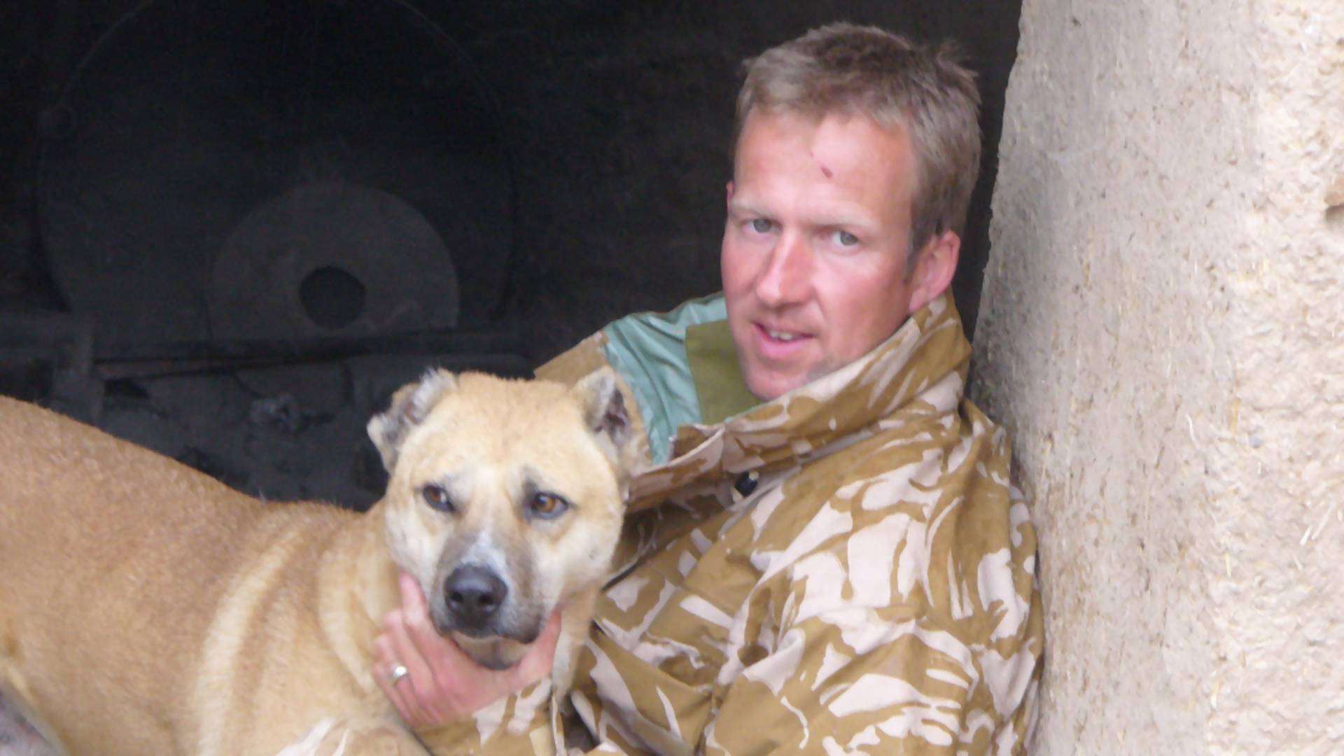 Muž zachránil z Afganistanu viac ako 150 psov a mačiek. Svojou akciou však vyvolal i vlnu kritiky