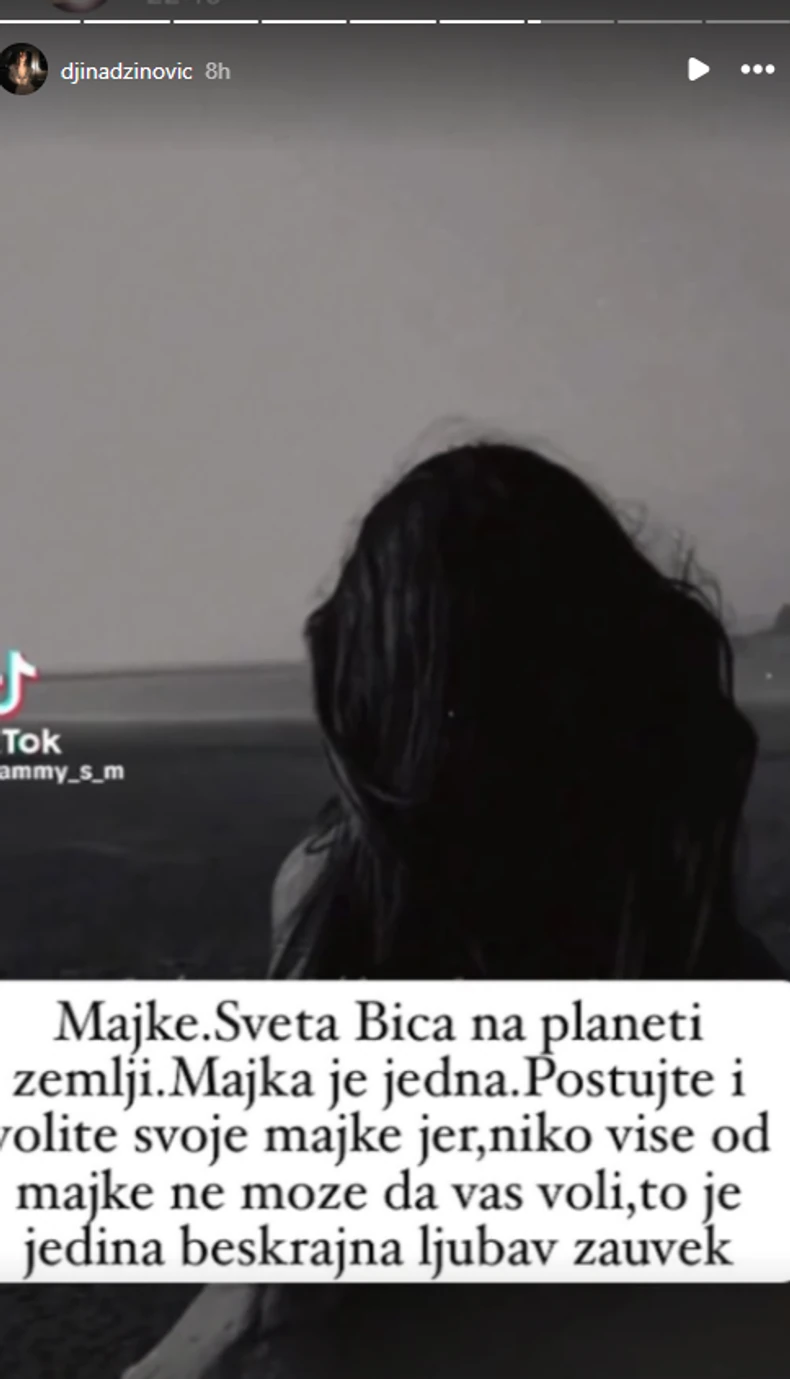 Đina Džinović, objava