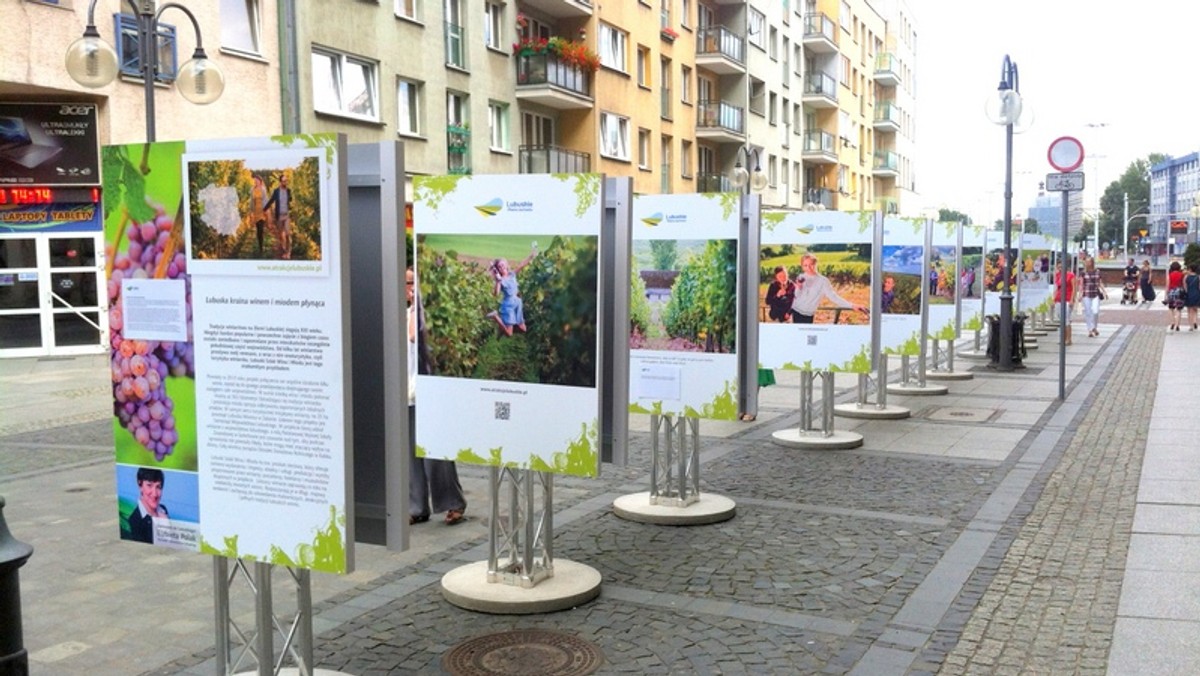 Lubuskie winnice kuszą mieszkańców Dolnego Śląska! W okolicach wrocławskiego rynku stanęła plenerowa wystawa lubuskich winnic. Cieszy się dużym zainteresowaniem zarówno wśród mieszkańców jak i turystów. 26 wielkoformatowych zdjęć wraz z ich poetyckimi opisami ukazuje Lubuskie jako krainę słynącą z pięknych winnic, przypominających te we włoskiej Toskanii. Wystawa będzie we Wrocławiu do 29 lipca.