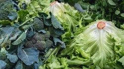 Brukselka i jej druga szansa na zrobienie dobrego pierwszego wrażenia. Przepis na sałatkę z brukselki na ciepło