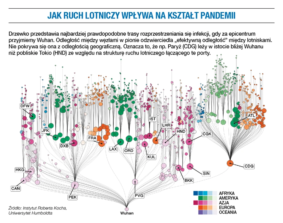 Jak ruch lotniczy wpływa na kształt pandemii