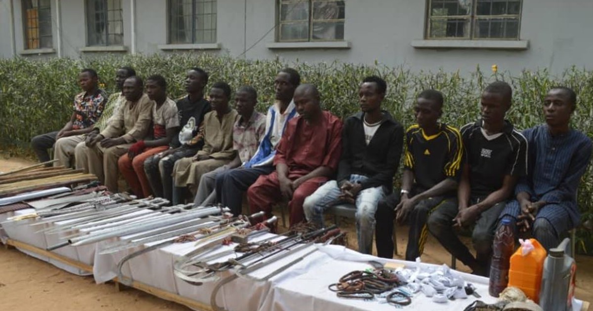 Police arrest 13 for allegedly vandalising Kano senator's office - Vimarsana News