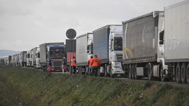 Blokady na granicy z Ukrainą już nie ma, ale problem nie zniknął. Polski rolnik: "Nie jesteśmy w stanie z nimi konkurować"