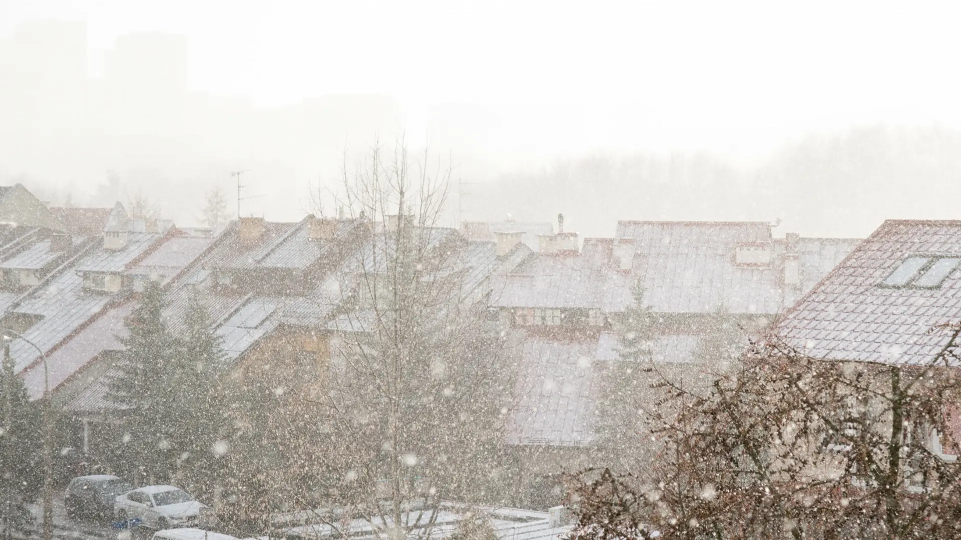 Śnieg, deszcz i przymrozki. Zima w kwietniu nie powinna odwracać uwagi od zmian klimatu