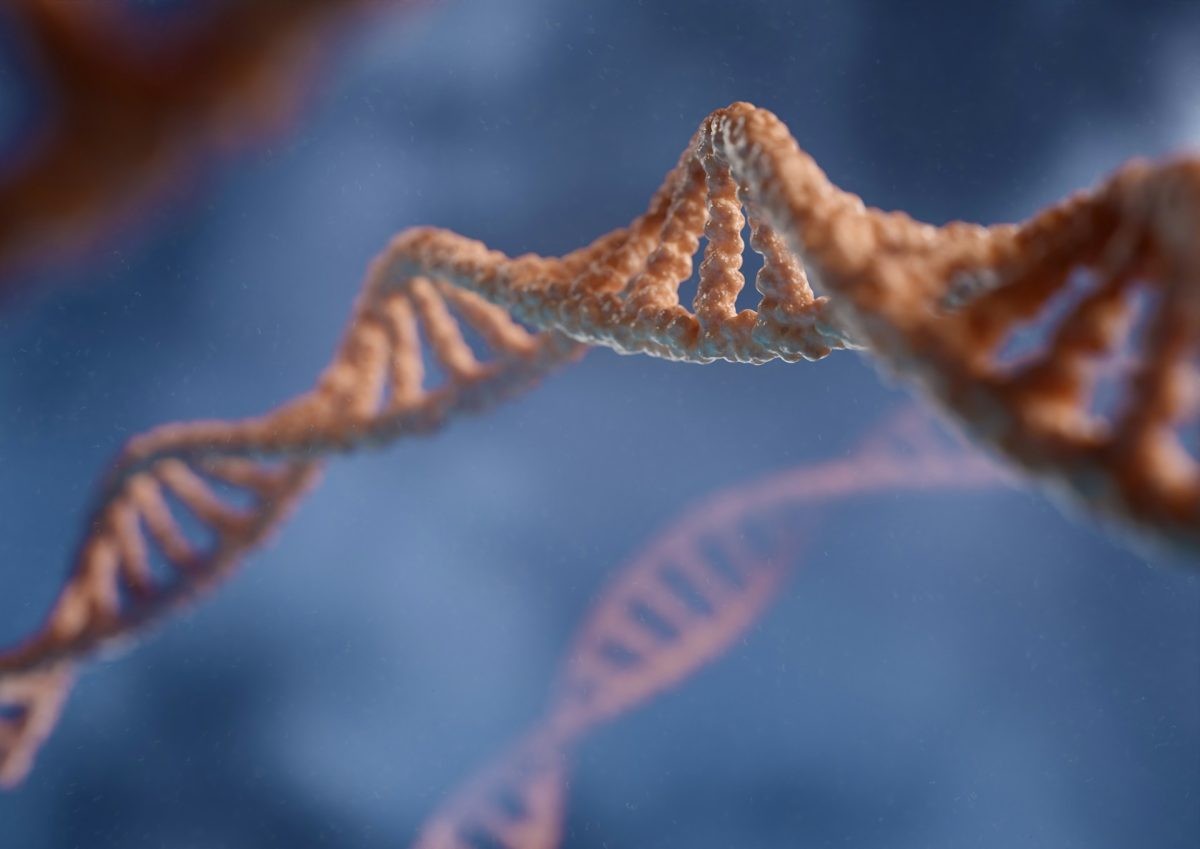 Niektoré baktérie dokážu produkovať látky, ktoré poškodzujú DNA buniek.
