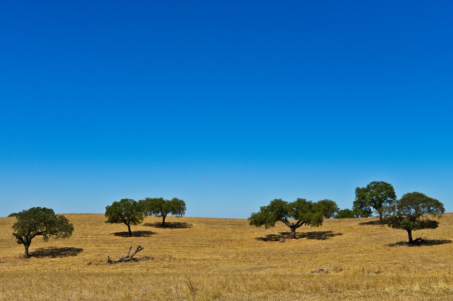 Parque Natural do Vale do Guadiana